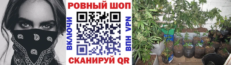 Все наркотики Новочебоксарск Амфетамин  МАРИХУАНА  Кокаин  Меф  ГАШ 