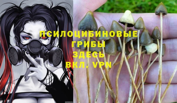 хмурый Алзамай