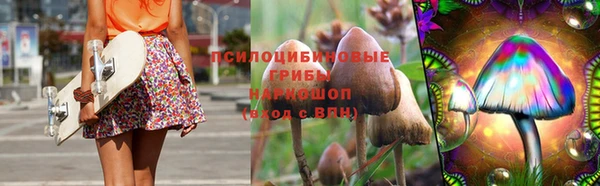наркотики Алексин