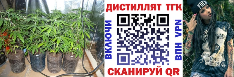 что такое наркотик  mega зеркало  Дистиллят ТГК THC oil  Новочебоксарск 