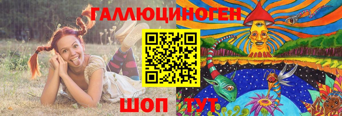 Новочебоксарск  купить наркотики цена  Вход с VPN  Галлюциногенные грибы Psilocybe 