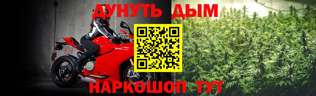 Бошки Шишки Bruce Banner  МАРИХУАНА планчик  Шишки марихуана OG Kush  Новочебоксарск  Вход с VPN 